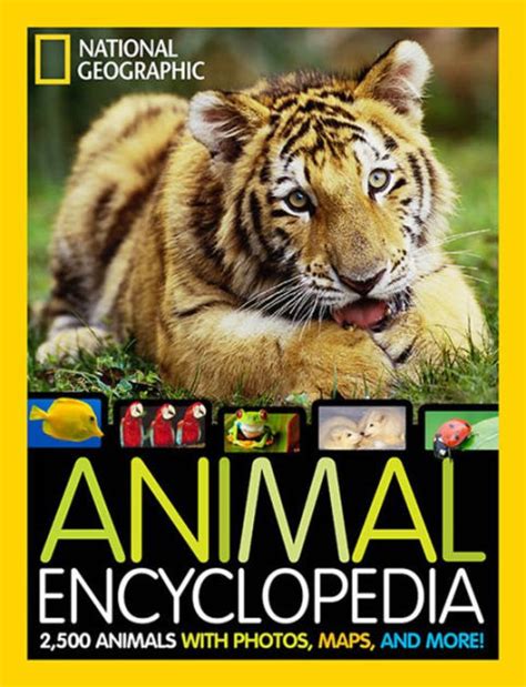 動物大全|Animal Encyclopedia With Facts, Pictures, Definitions, and More!